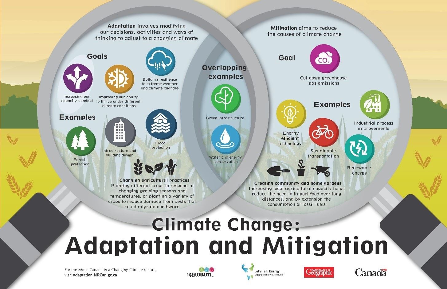 Climate Change Adaptation and Mitigation Information